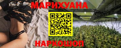 спиды Новозыбков