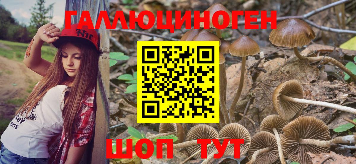 Стрежевой  Псилоцибиновые грибы ЛСД  Вход с VPN  Галлюциногенные грибы Cubensis 